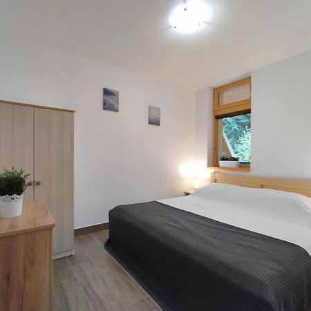 Hojsova Straz Brcalnik Apartman Hannzi Zelezna Ruda Exterior photo